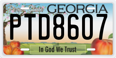 GA license plate PTD8607