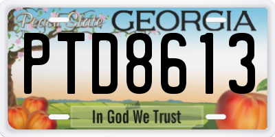 GA license plate PTD8613
