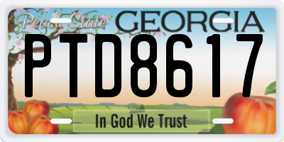 GA license plate PTD8617