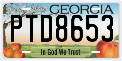 GA license plate PTD8653