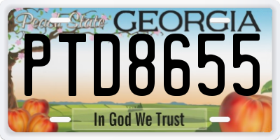 GA license plate PTD8655
