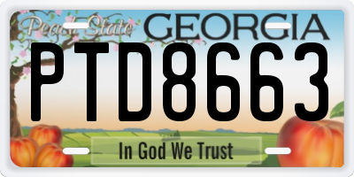 GA license plate PTD8663