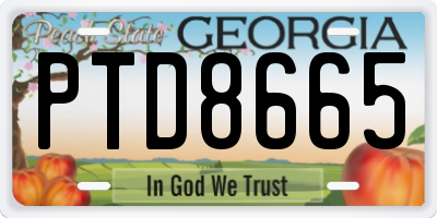 GA license plate PTD8665