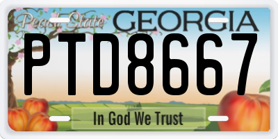 GA license plate PTD8667