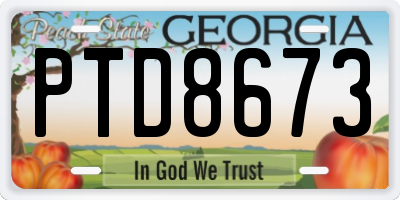 GA license plate PTD8673