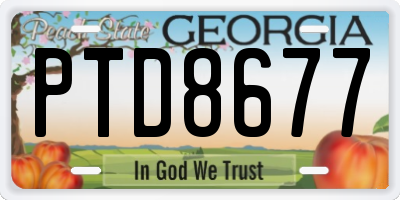 GA license plate PTD8677