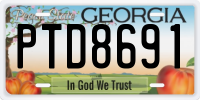 GA license plate PTD8691