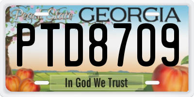 GA license plate PTD8709