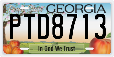 GA license plate PTD8713