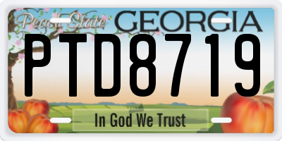 GA license plate PTD8719