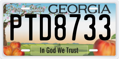 GA license plate PTD8733