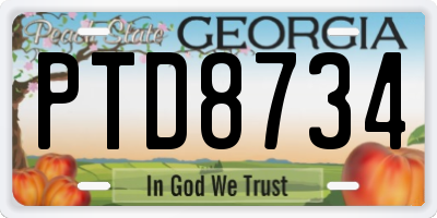 GA license plate PTD8734