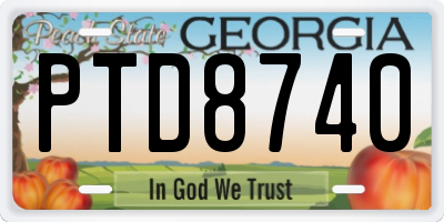 GA license plate PTD8740