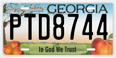 GA license plate PTD8744