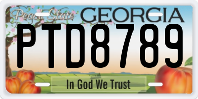 GA license plate PTD8789