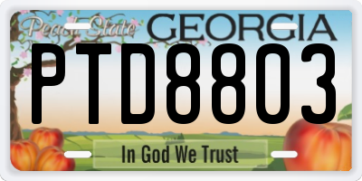 GA license plate PTD8803