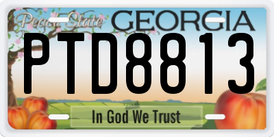 GA license plate PTD8813