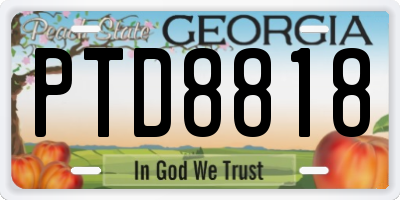 GA license plate PTD8818