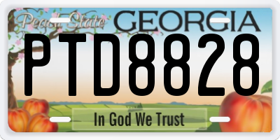 GA license plate PTD8828