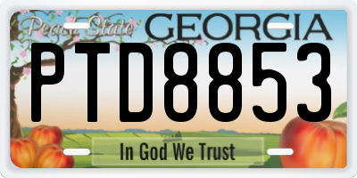 GA license plate PTD8853