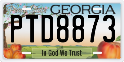 GA license plate PTD8873