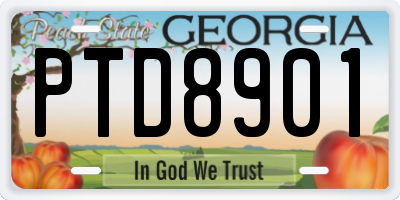 GA license plate PTD8901