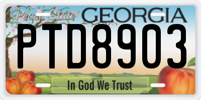 GA license plate PTD8903