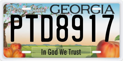 GA license plate PTD8917