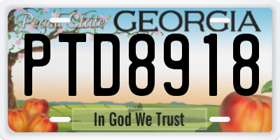 GA license plate PTD8918