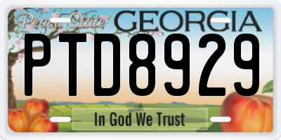 GA license plate PTD8929