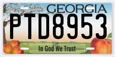 GA license plate PTD8953
