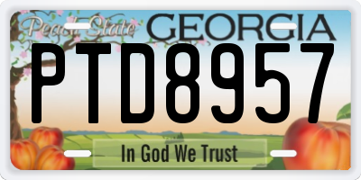 GA license plate PTD8957