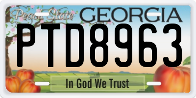 GA license plate PTD8963