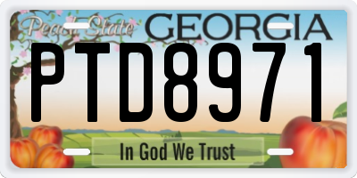 GA license plate PTD8971