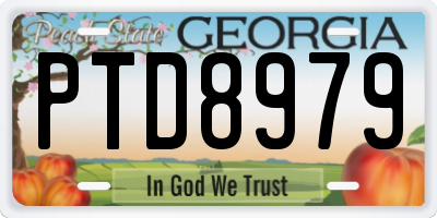 GA license plate PTD8979