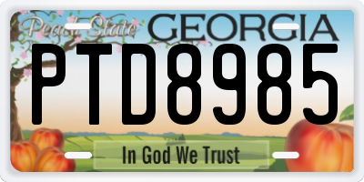 GA license plate PTD8985