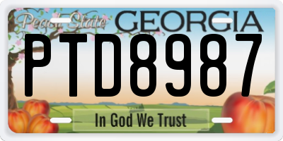 GA license plate PTD8987