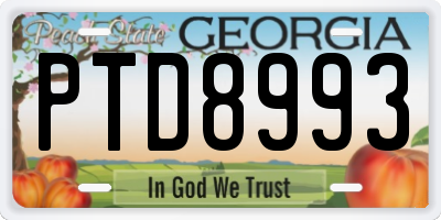 GA license plate PTD8993