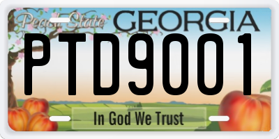GA license plate PTD9001