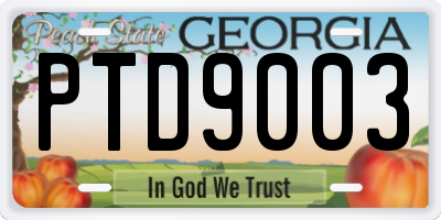 GA license plate PTD9003