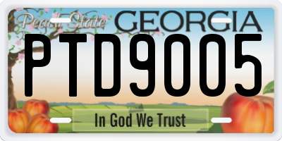 GA license plate PTD9005