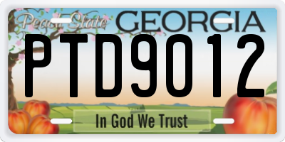 GA license plate PTD9012