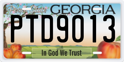 GA license plate PTD9013