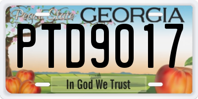 GA license plate PTD9017