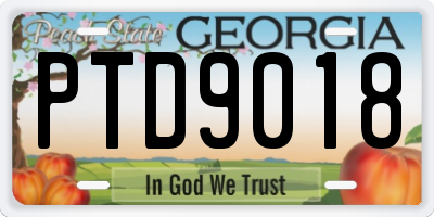 GA license plate PTD9018