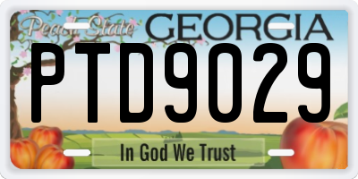 GA license plate PTD9029