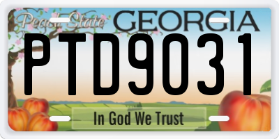 GA license plate PTD9031