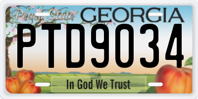 GA license plate PTD9034