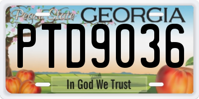 GA license plate PTD9036