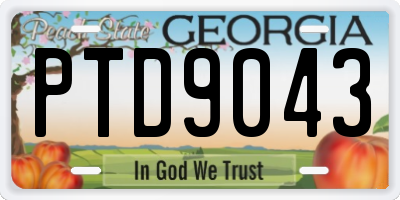 GA license plate PTD9043